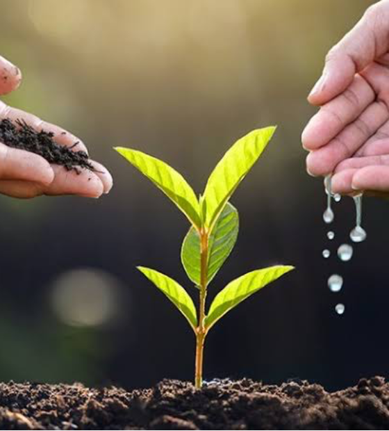 O Brasil não pode ignorar as tecnologias de baixo carbono