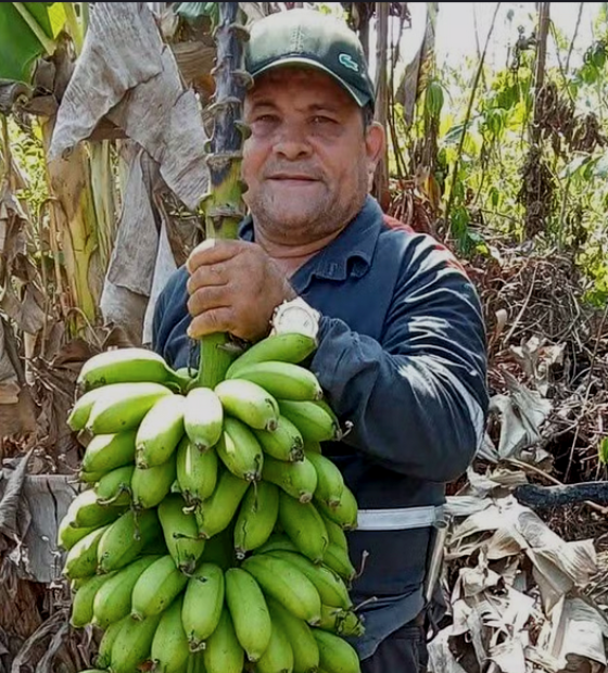 Assassinato de líder agrícola em Anapu reacende alerta sobre violência no campo no Pará