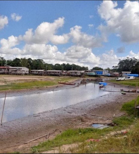 A pedido do MPF, Justiça proíbe que grupo invada território de comunidade tradicional na Ilha de Marajó (PA)