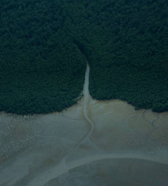 Campanha quer aumentar pressão contra exploração de petróleo na Foz do Amazonas