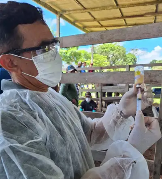 Médicos veterinários têm até esta quarta, 30, para se cadastrar no Programa da Brucelose