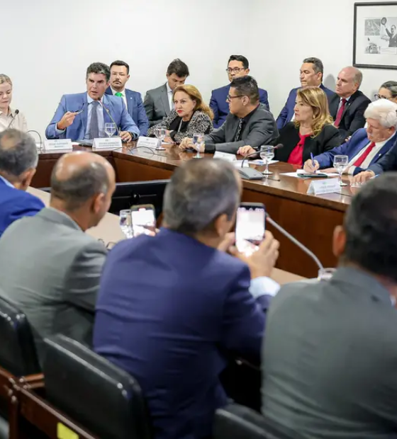 Governo vai a Brasília pedir a suspensão dos embargos em território paraense pelo Ibama