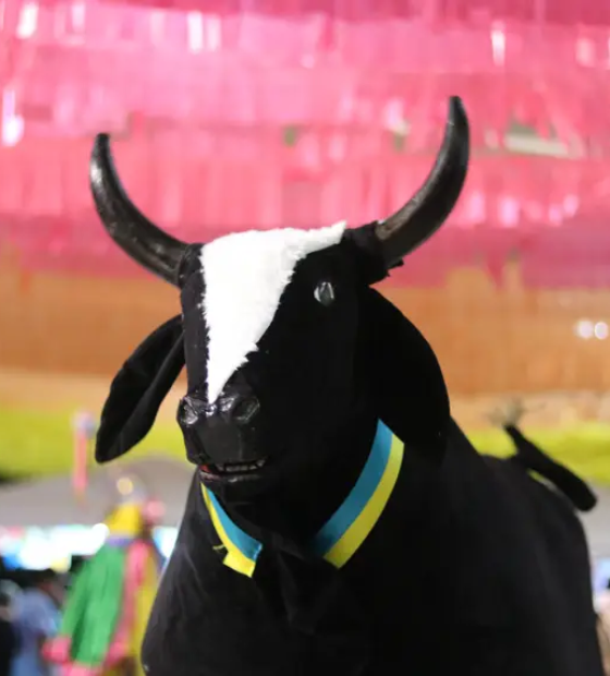 Inscrições de folguedos para o Arraial de Todos os Santos terminam nesta sexta, 9