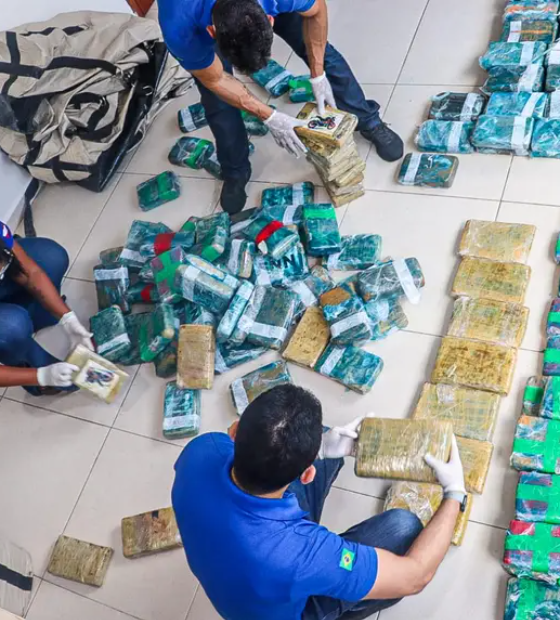Polícia Científica pericia mais de 500 quilos de entorpecentes apreendidos em Breves