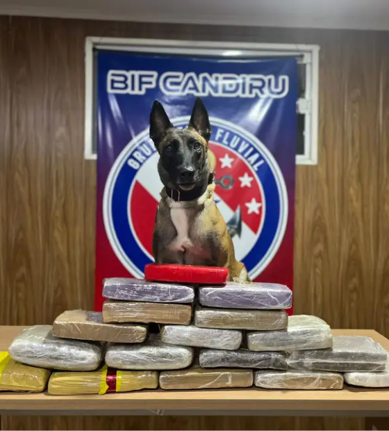 Agentes da Base Candiru apreendem mais de 17kg de entorpecentes em rio
