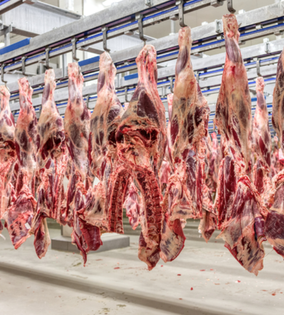 Carne Legal: frigoríficos signatários do TAC na Amazônia têm 13 vezes menos irregularidades que os demais