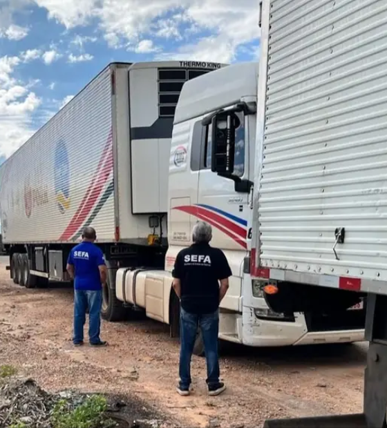 Sefa apreende 78 toneladas de carne bovina irregular em Abel Figueredo