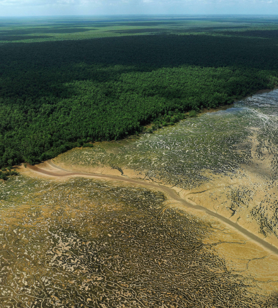 ANP e Ibama aprovam 47 blocos da bacia foz do Amazonas para 5º Ciclo da OPC