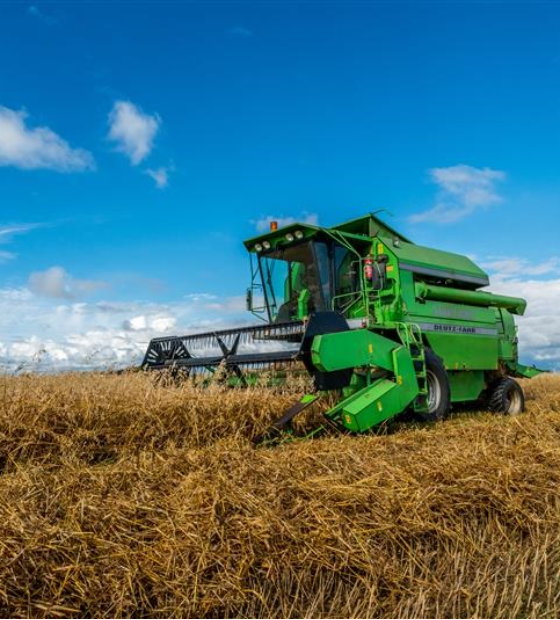 Compra planejada: Consórcios seguem em alta e ajudam a realizar sonhos e ampliar patrimônio