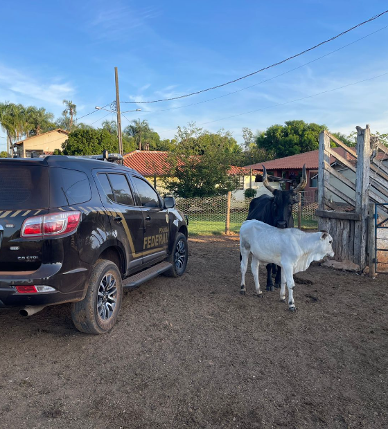 PF deflagra operação contra fraudes fundiárias no Estado do Pará