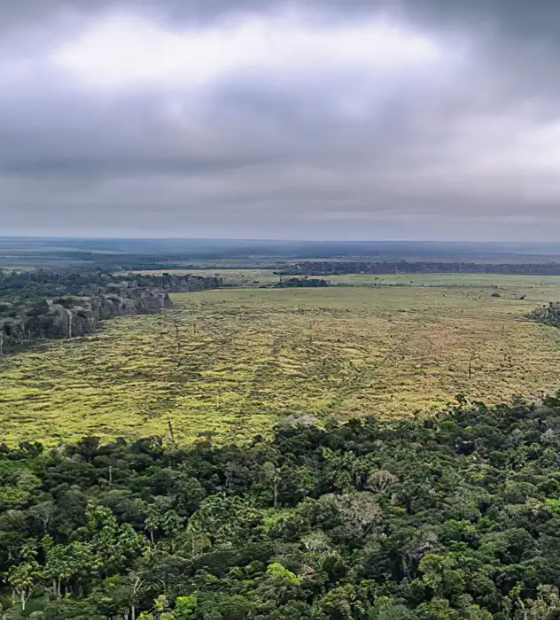 União Europeia classifica Brasil como país de risco padrão para desmatamento
