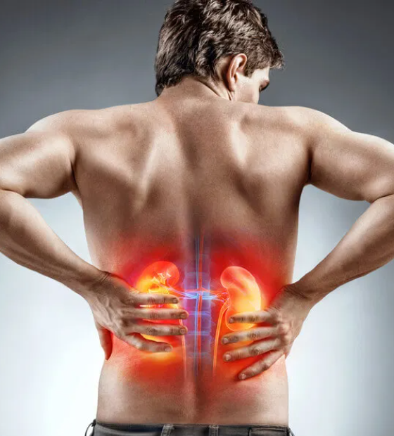 De analgésicos a falta de sono, sete hábitos comuns que podem prejudicar os rins