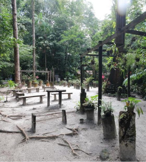 Bosque Rodrigues Alves passa a ter entrada gratuita todo ultimo final de semana do mês