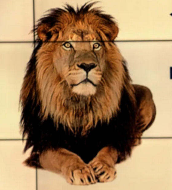 Imposto de Renda 2025: Prazo para enviar declaração termina nesta sexta