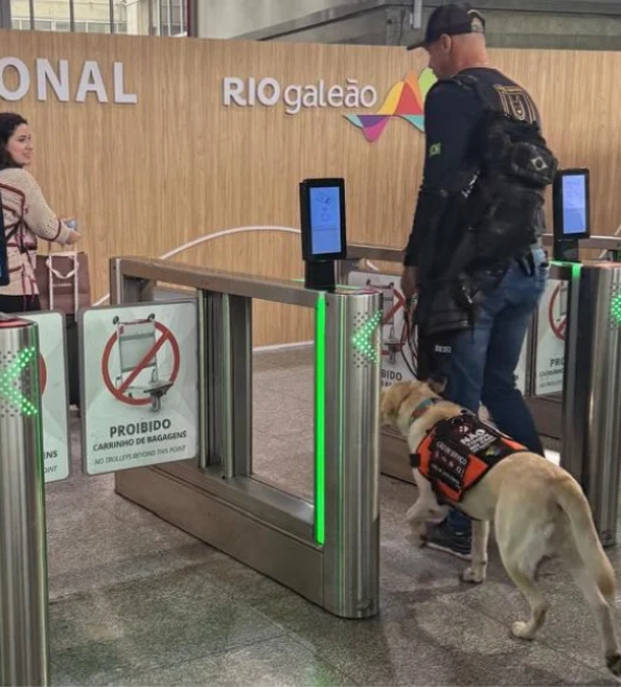 Cão Teddy, labrador que auxilia criança com autismo, consegue embarcar para Portugal