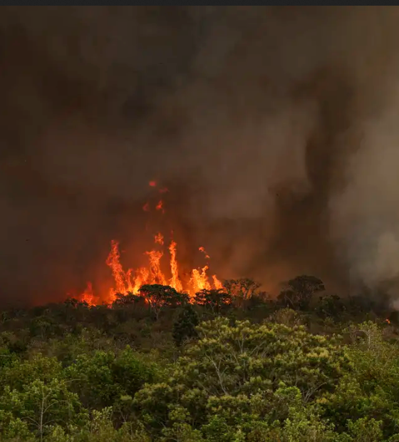Queimadas fazem desmatamento crescer 92% na Amazônia em maio