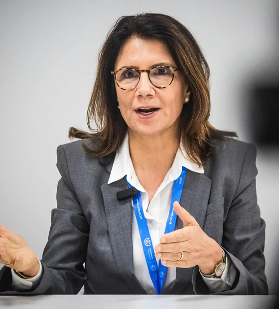 'PL do licenciamento é sinal oposto; aponta para incertezas legais', diz CEP da COP30