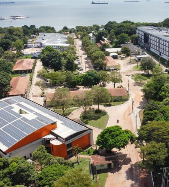 Ufopa lança projeto sobre bioeconomia e valor econômico da castanha-do-pará no Baixo Amazonas