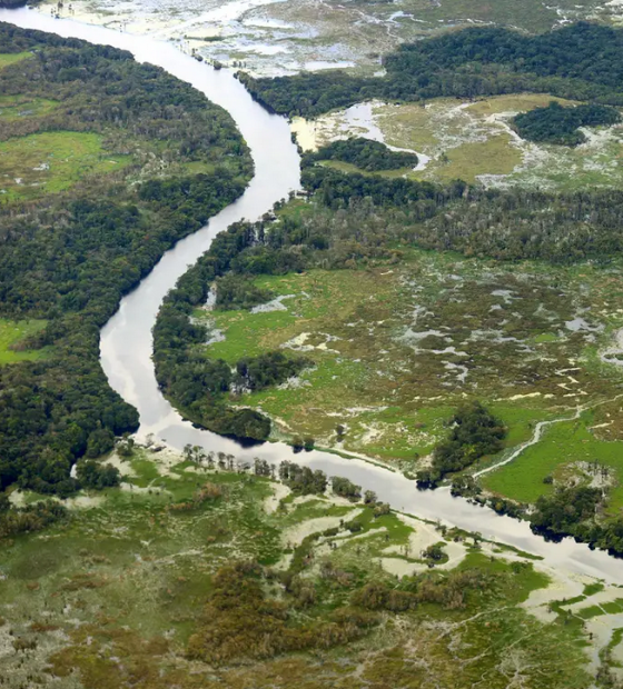 MPF abre apuração preliminar sobre legalidade de desbloqueio de áreas de interesse da Funai no oeste do Pará