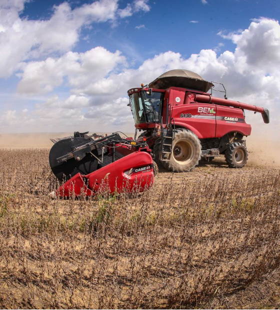 Safra 2025 alcançará 332,6 milhões de toneladas, 13,6% maior ante 2024, diz IBGE