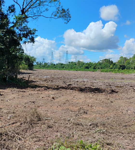 Na Ufra, comunidade aumenta pressão para Reitoria recorrer ao MPF contra obra estadual