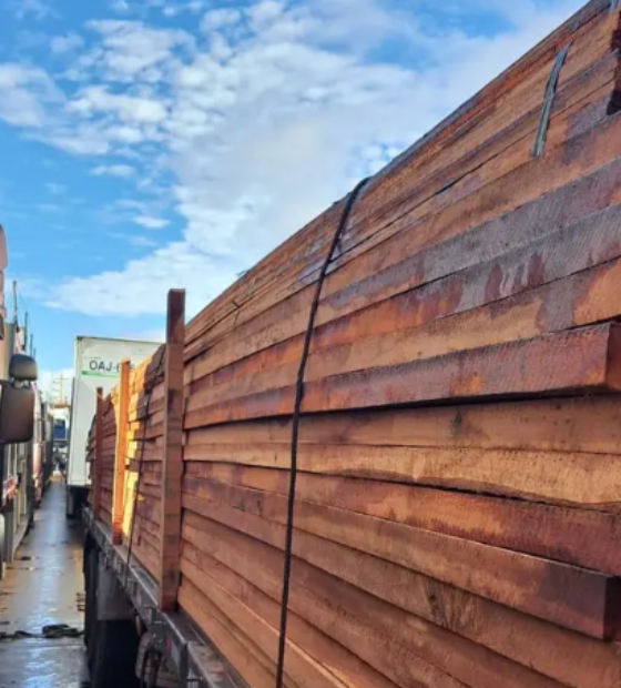 Fiscalização apreende mais de 24 metros cúbicos de madeira irregular