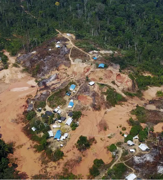 MPF faz acordo com Starlink para combater uso de internet por garimpo ilegal na Amazônia