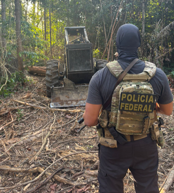 PF deflagra operação contra desmatamento ilegal em assentamento no oeste do Pará