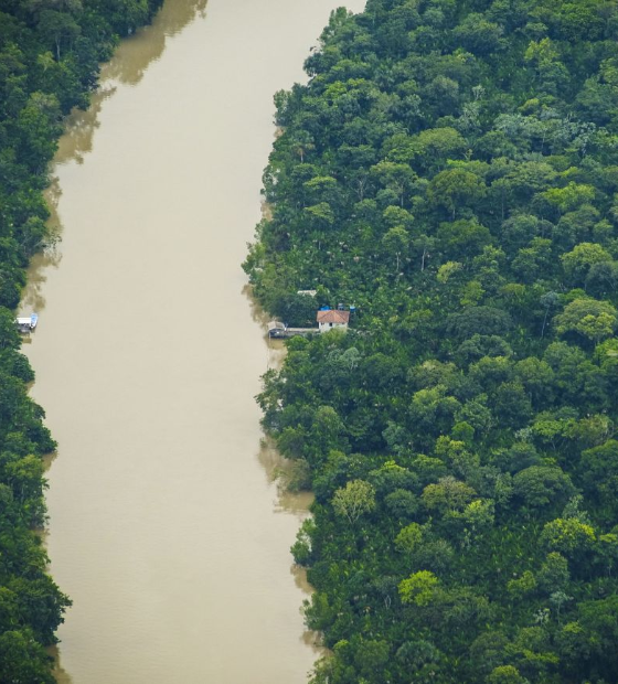 Governo assina decreto que institui o Plano Estadual de Agricultura de Baixo Carbono 