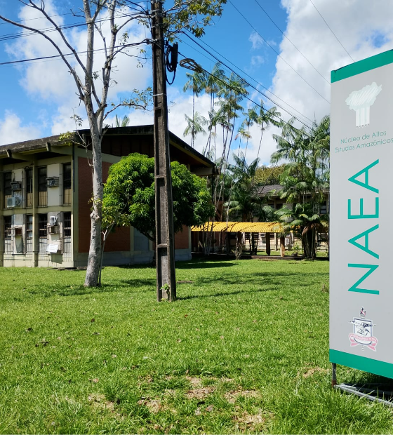 UFPA sedia oficina internacional para sensibilização sobre mudanças climáticas