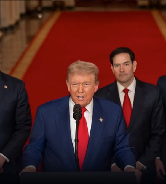 Trump deve ligar para Zelensky após ficar desapontado em ligação com Putin