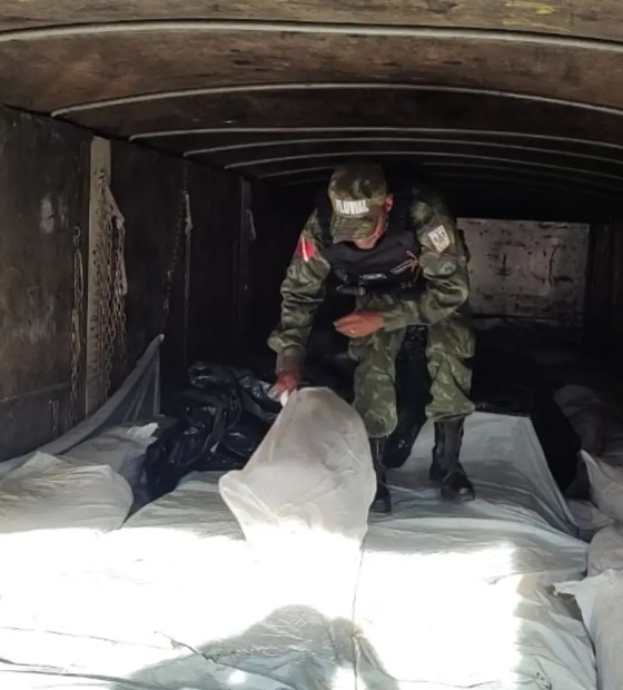 Fiscalização apreende 5 toneladas de pescado irregular