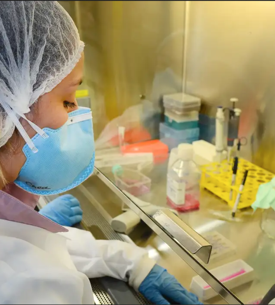  USP: pesquisa de vacina contra zika avança em testes com camundongos 