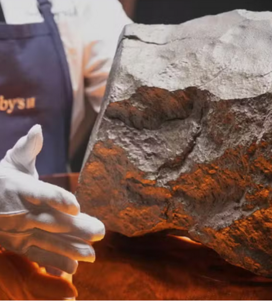 Maior pedaço de Marte já encontrado na Terra vai a leilão por até US$ 4 milhões