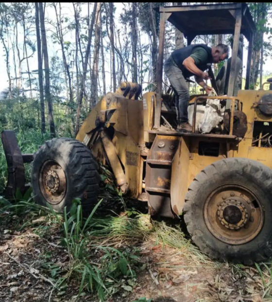 Em Novo Progresso, ‘Operação Curupira’ prende em flagrante dono de área desmatada
