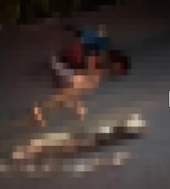 Motociclista morre e outro fica ferido após colisão com árvore caída na estrada da Ceasa, em Belém