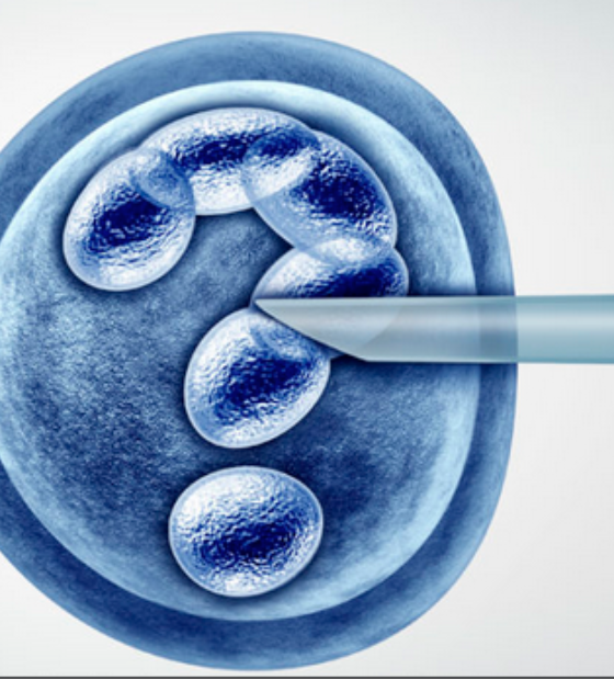 Bebê nascido de embrião congelado por 30 anos bate recorde: 'como filme de ficção científica'