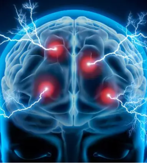 Com ajuda de IA, cientistas conseguem prever envelhecimento cerebral