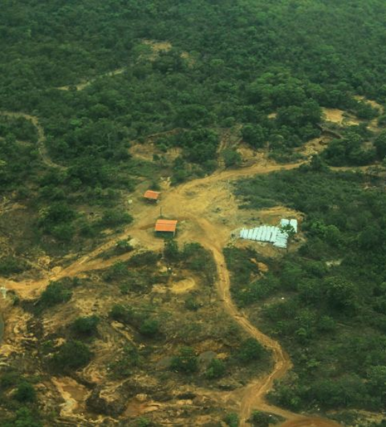 MPF vai à Justiça para anular licença para mineração de ouro que ameaça indígenas Kayapó no Pará