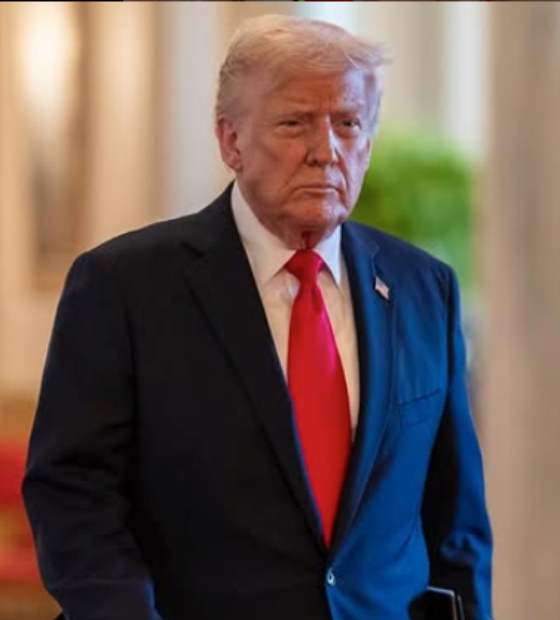 Tarifaço afeta 77,8% das exportações brasileiras aos EUA, diz CNI