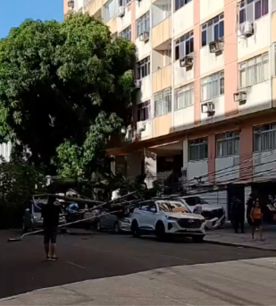 Queda de árvore atinge carros e afeta trânsito no centro de Belém