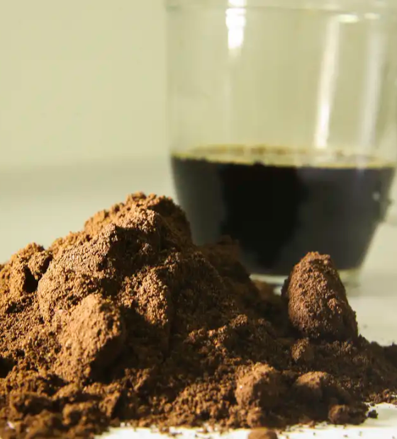 Cecafé e Abics intensificam negociações para reverter tarifa dos EUA sobre café brasileiro