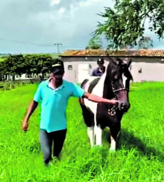 Mensagens mostram que empresas pagaram fazenda de prefeito no Pará, diz CNN