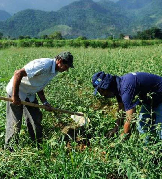 Decreto reabre prazo de renegociação de dívidas em regularização fundiária rural