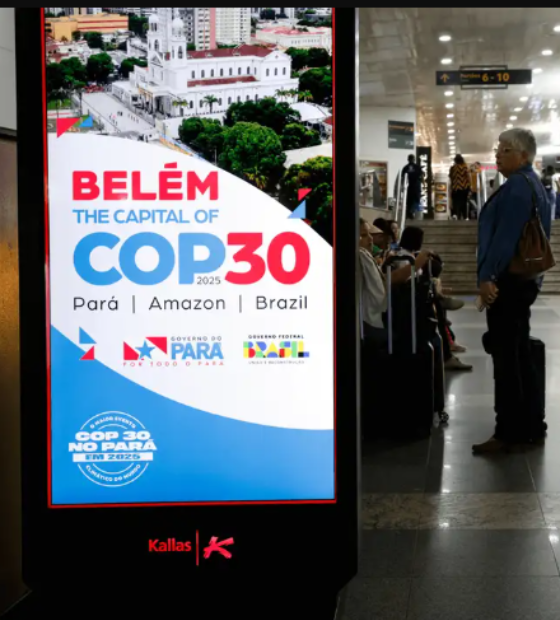Buscas de brasileiros sobre COP30 na internet crescem 440% em agosto
