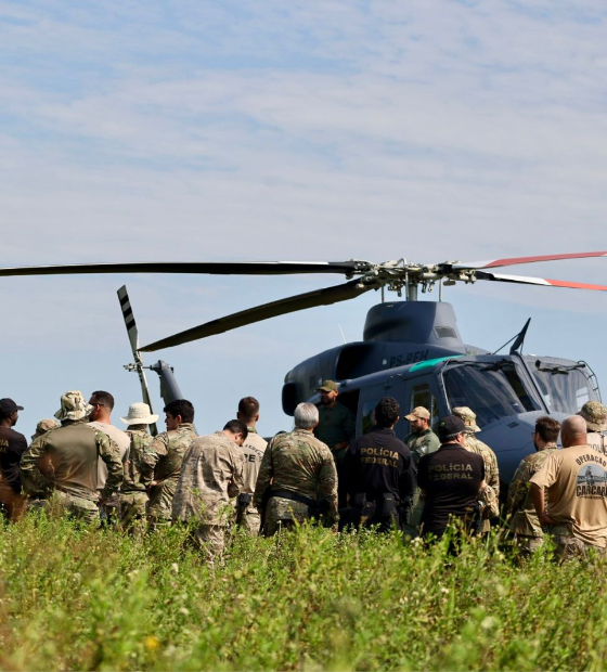 Polícia Federal erradica mais de 120 mil pés de maconha em cinco cidades do Pará