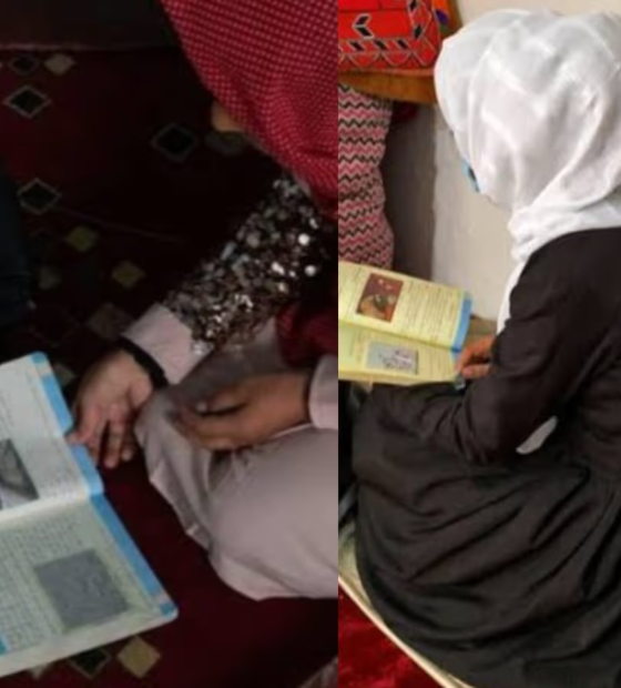 Mulheres afegãs criam clube de leitura secreto e desafiam o regime do Talibã
