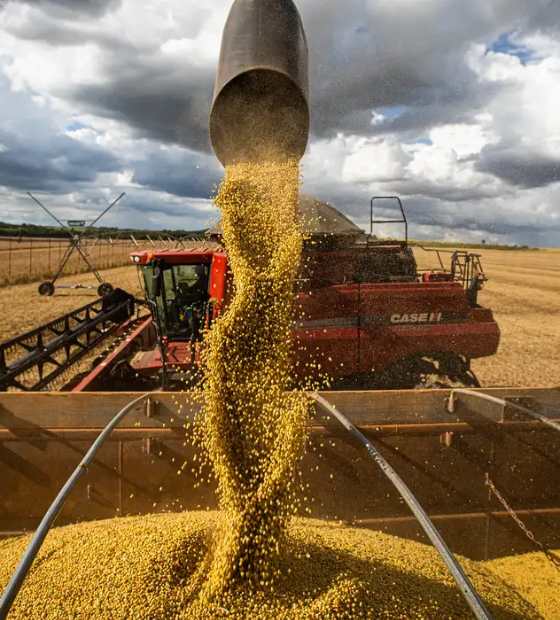 Agro verde-amarelo resiste bravamente às restrições impostas pela geopolítica