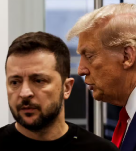 Zelenski pode acabar com a guerra quase imediatamente, se quiser, diz Trump