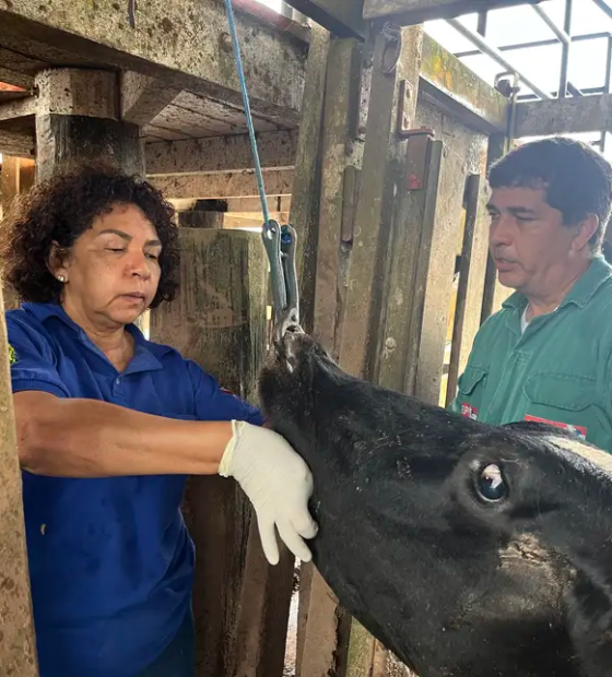 PSS da Adepará oferece 58 vagas e inscreve até a próxima quarta-feira, 20